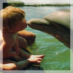 Deane-Paul's mother's daily prayers were answered by dolphins