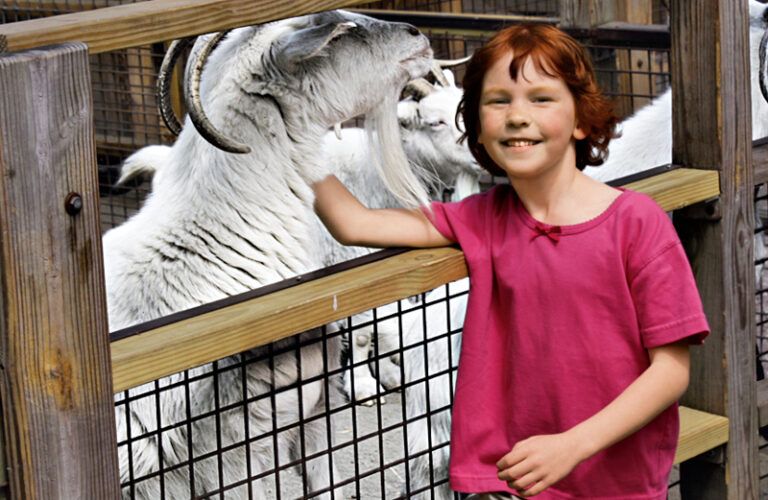 Catherine Hubbard pets a goat in a pen.