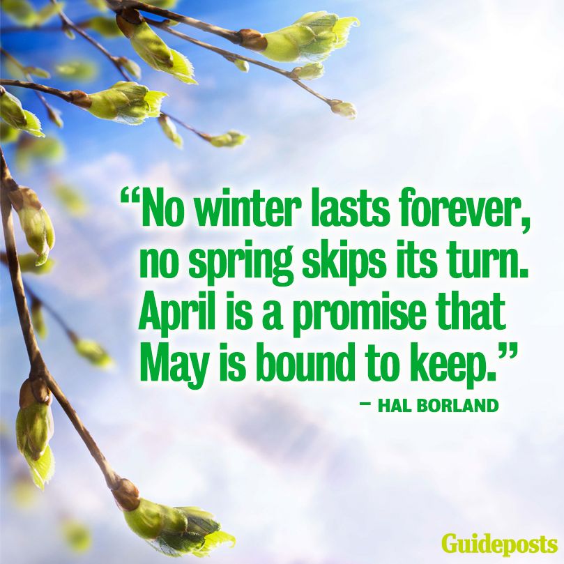 "No winter lasts forever, no spring skips its turn. April is a promise that May is bound to keep."