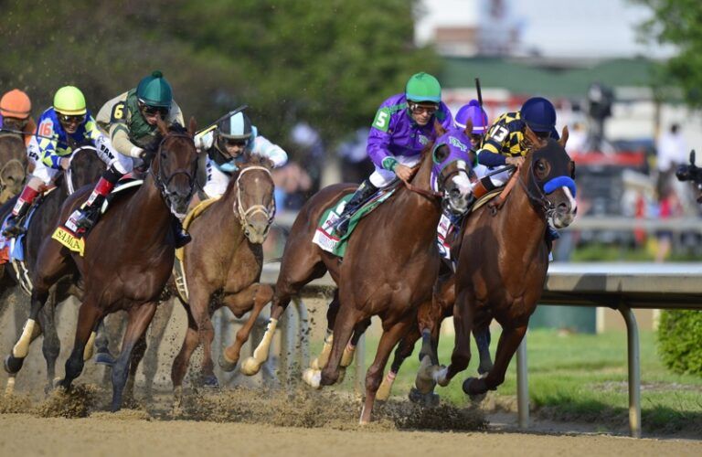 California Chrome. Photo credit: KentuckyDerby.com