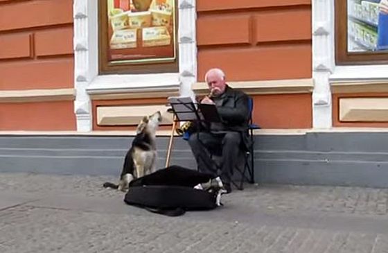 A musical mutt and his human pal