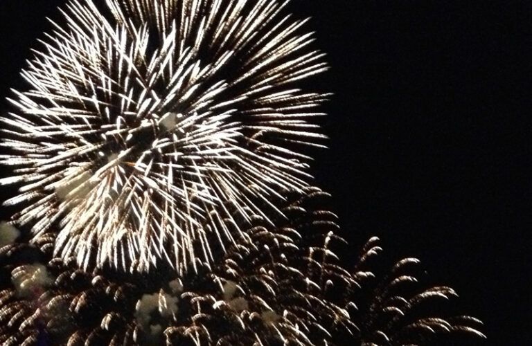 Fireworks explode across a night sky.