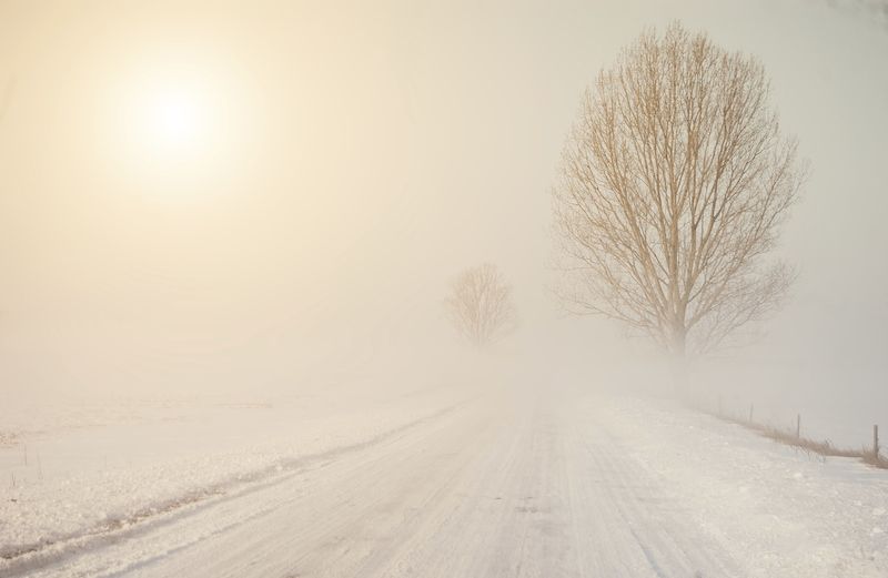 Snowy day. Photo by Thomas Zsebok Images, Thinkstock.