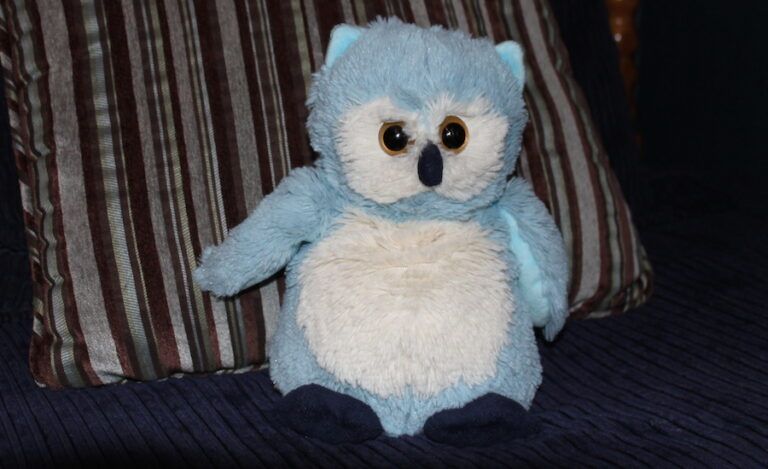 The blue owl on Samuel's bed. Photo courtesy Shawnelle Eliasen.