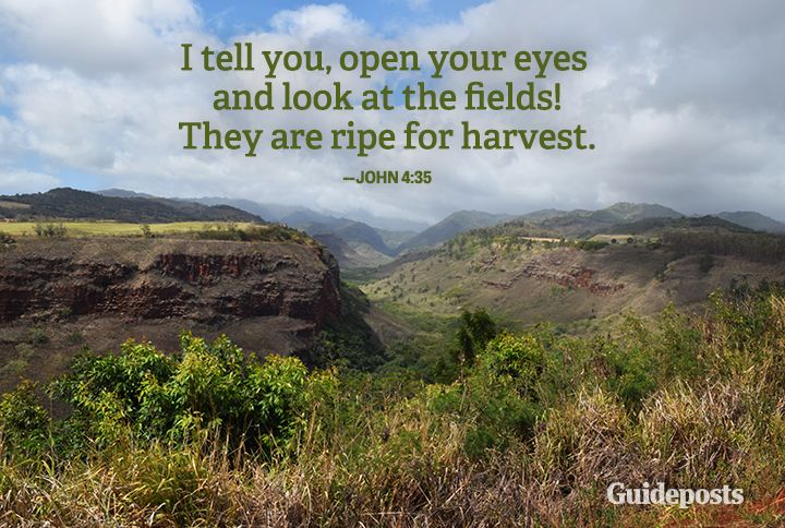 Waimea Canyon displaying an Earth Day bible verse