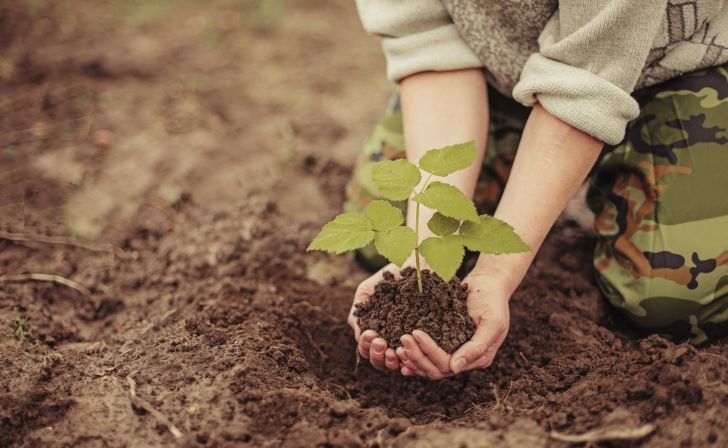 Spiritual side of gardening