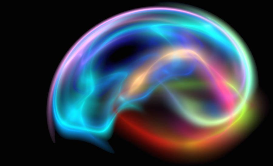 The brain (Thinkstock)