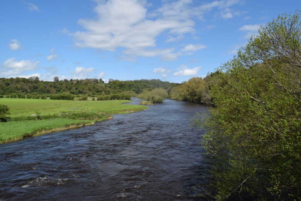 lush green trees and fields along the Boyne River in Ireland, outside of Dublin