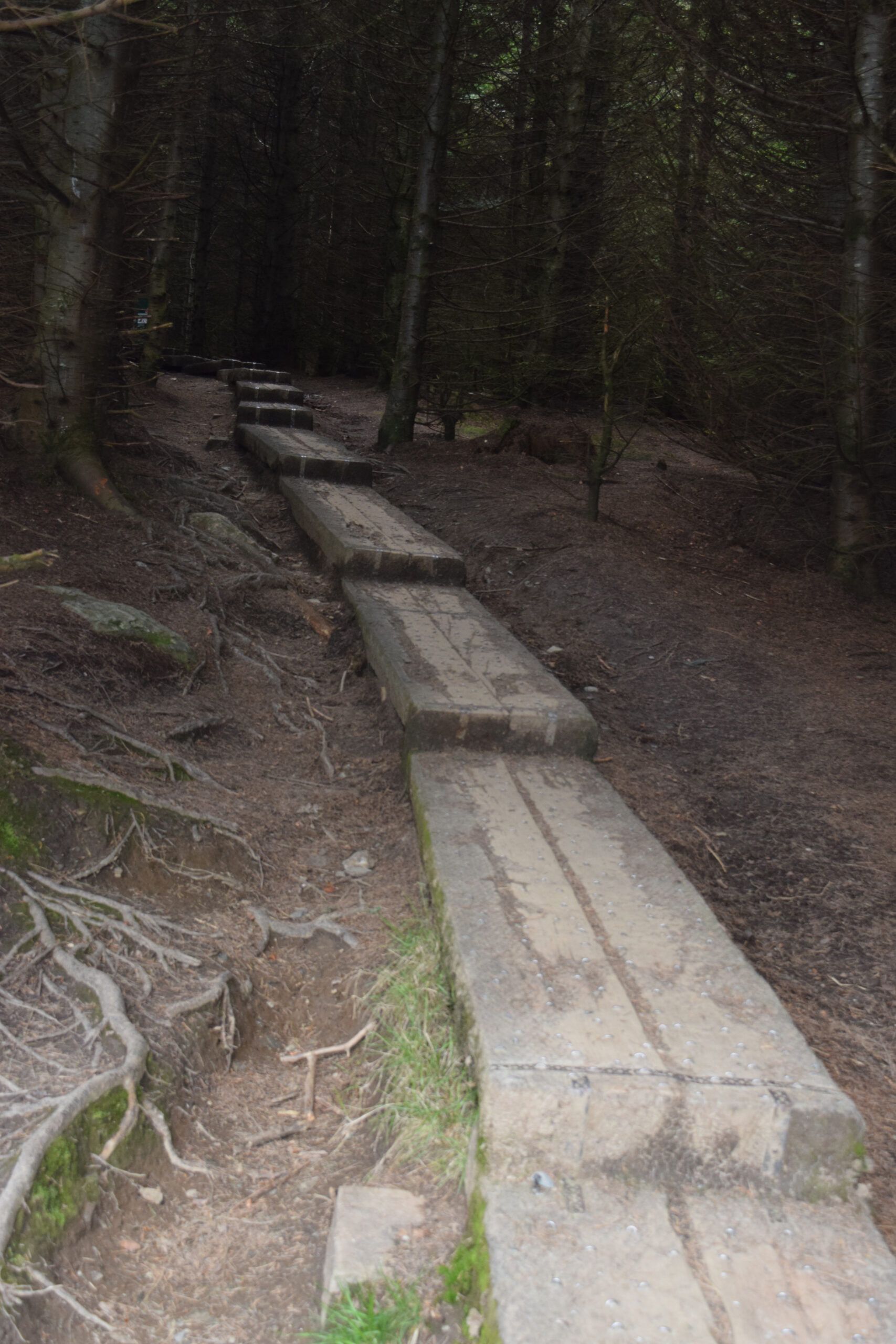 stairs at Glendalough