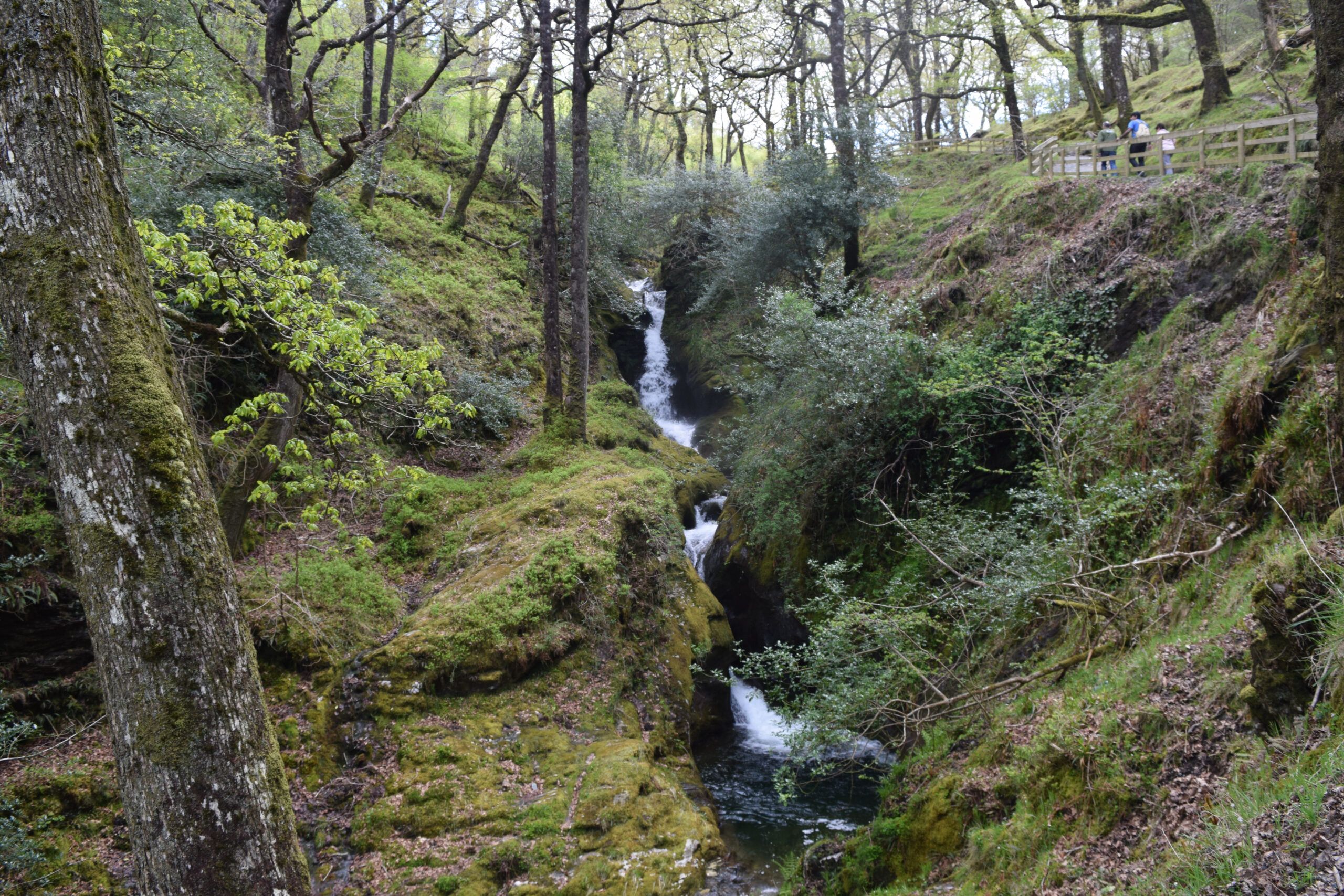 Glendalough Trail