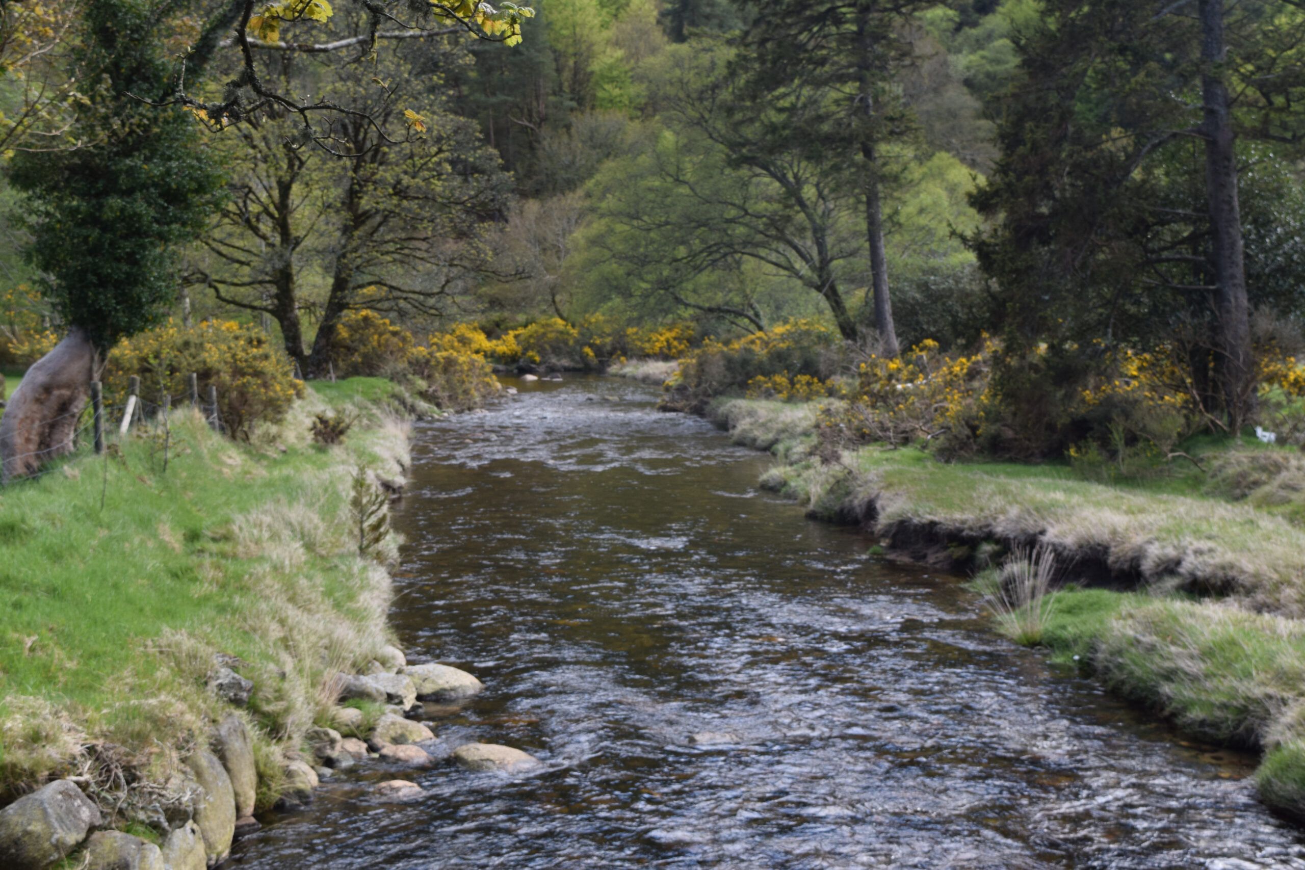 Stream BrookLodge Hotel Macreddin Village Ireland