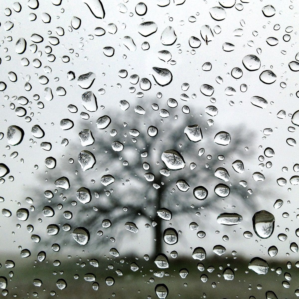 Guideposts: That Tree is reflected upside down in the heavy snowflakes melting on the window of my truck.