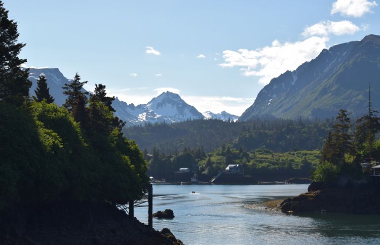 View of Halibut Cove outside Homer, Alaska