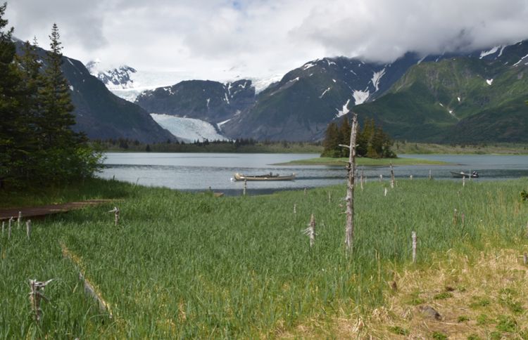 Pedersen Glacier at Kenai Fjords Glacier Lodge