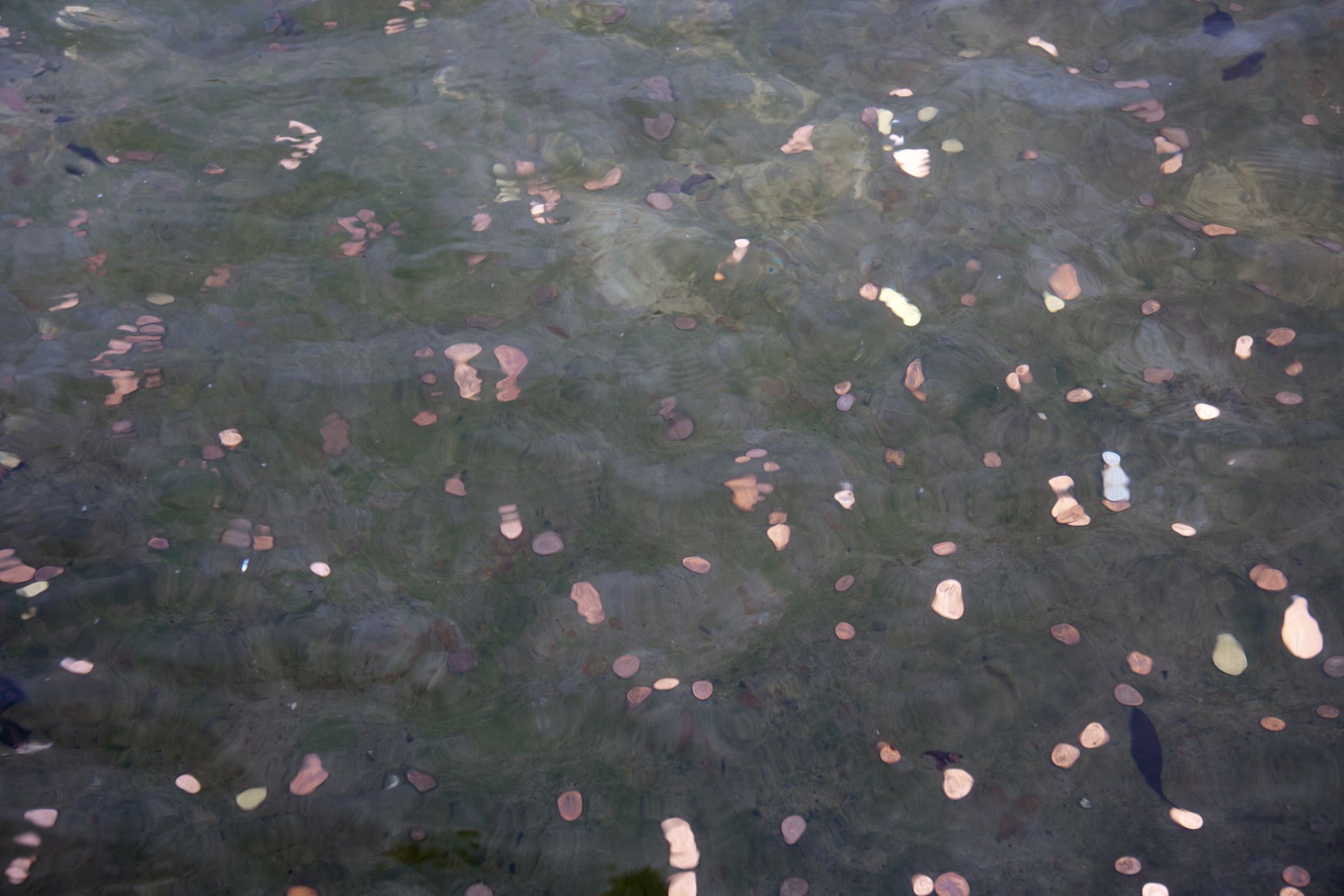 Coins in a fountain; signs from God.