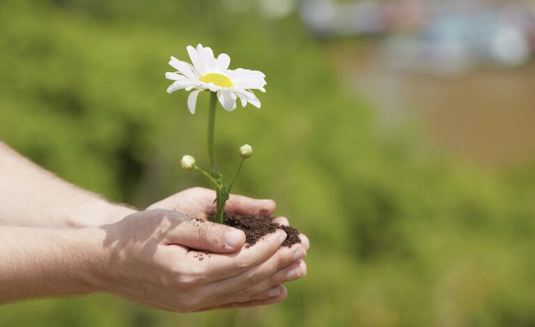 How to celebrate earth day