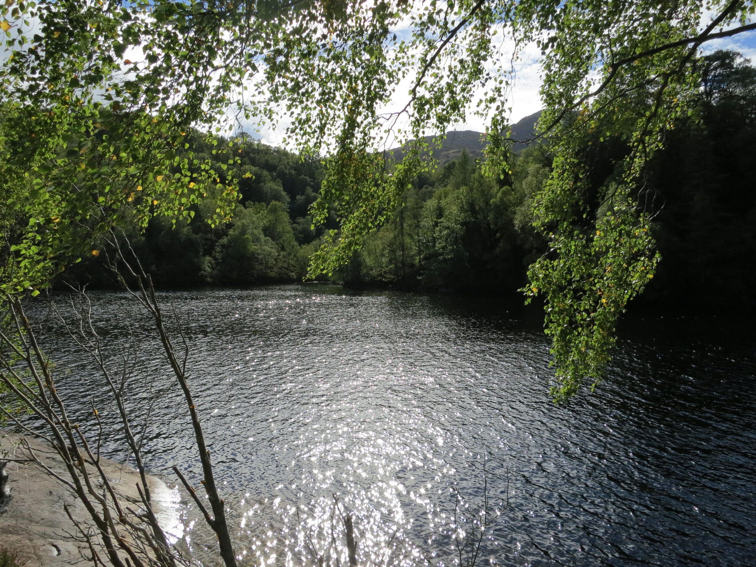 Nature in all its radiant beauty outside of Edinburgh in Stirling, Scotland.