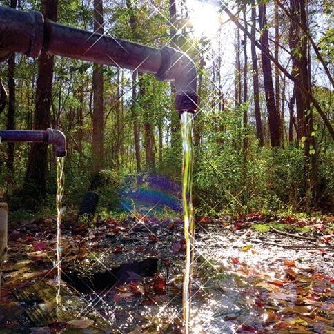 God’s Acre Healing Springs near Blackville, South Carolina