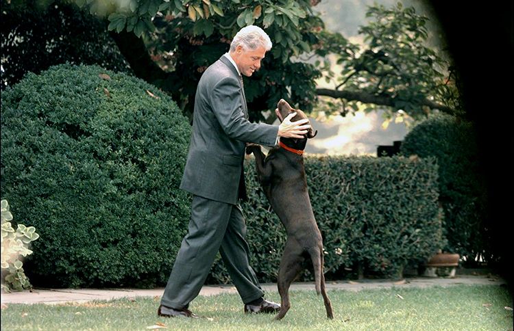 Guideposts: Bill Clinton pets Buddy, his chocolate lab