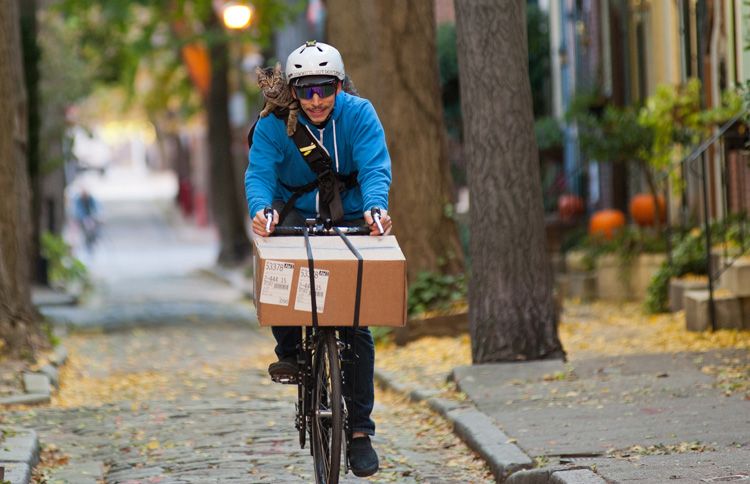 Bike courier Rudi Saldia and his able feline assistant--a striped tabby named MJ, short for Mary Jane--cover an average of twenty-five miles on two wheels on their rounds every day.