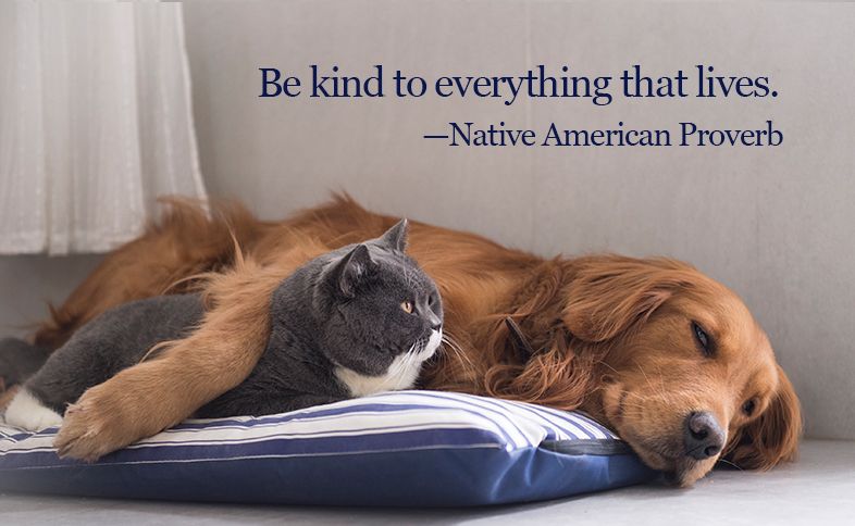 Be kind to everything that lives. ―Native American Proverb