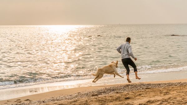 Weekends are for playing with your pets.