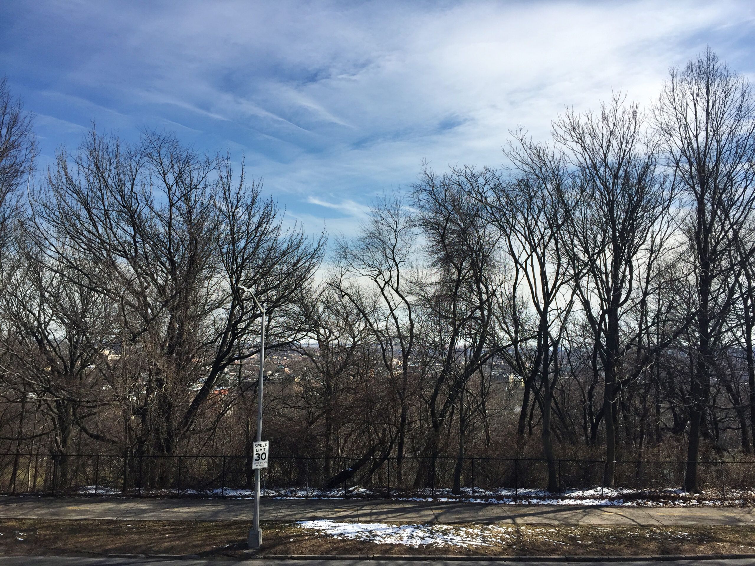 A view of Brooklyn from Highland Park, New York City