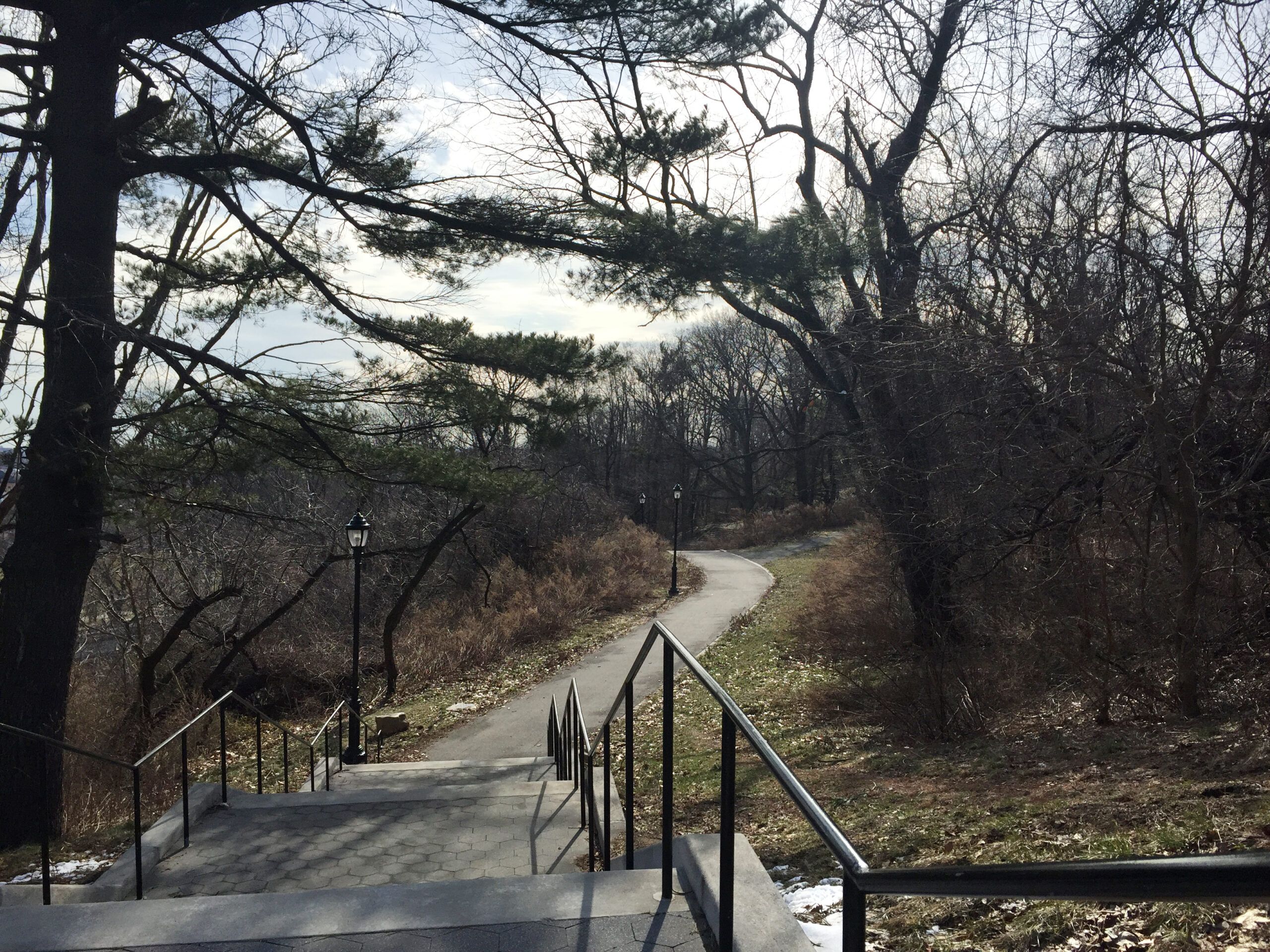 Taking in a beautiful view in Highland Park, New York City.