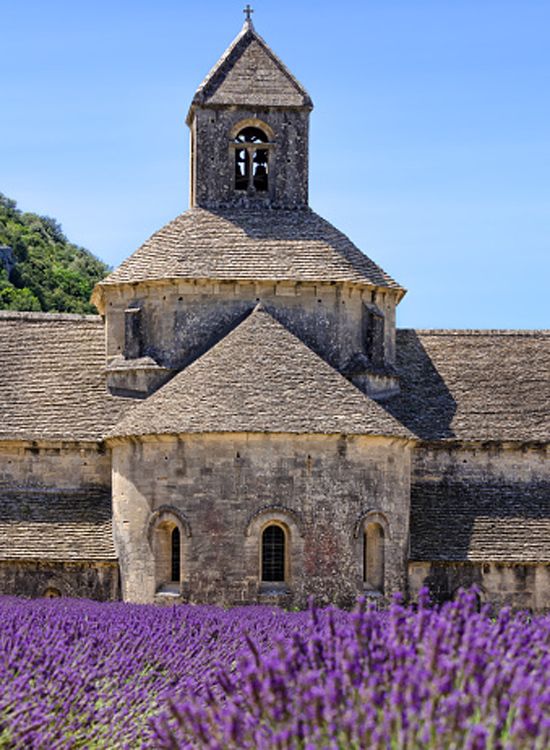 Sénanque abbey provence