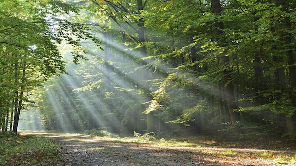 Turning points during a prayer journey