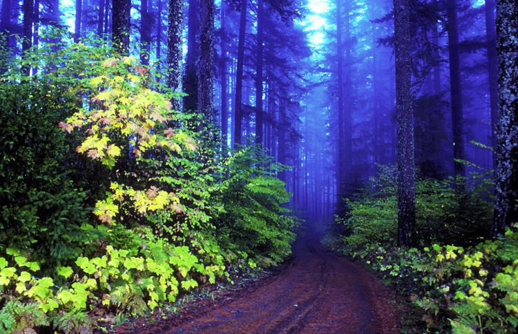 Three Sisters Wilderness, Oregon