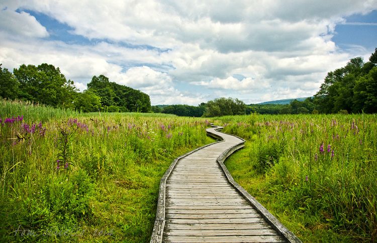 A view of the Appalachian Trail as it passes through New Jesey