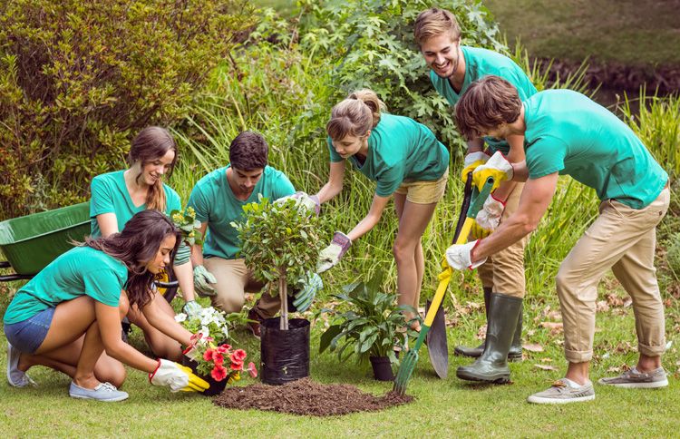 Friends doing summer volunteer work