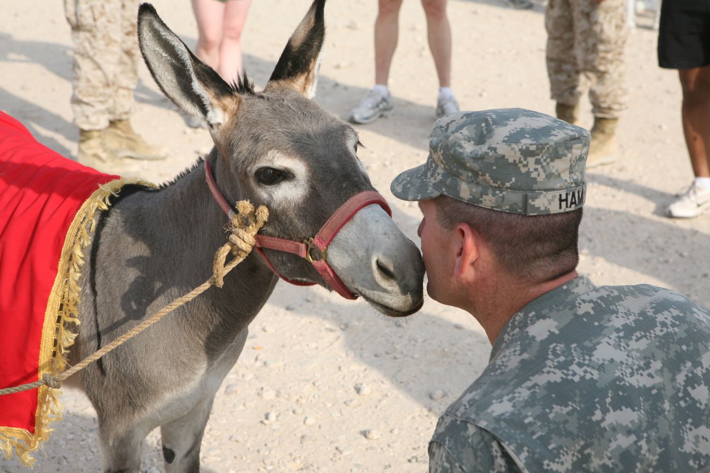 Smoke receives a smooch at the Freedom Walk.