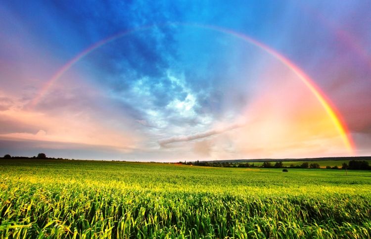 Crossing the Rainbow Bridge