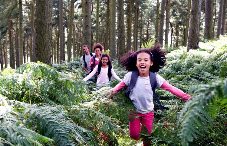 Two young girls lead their family along a hiking path in the woods