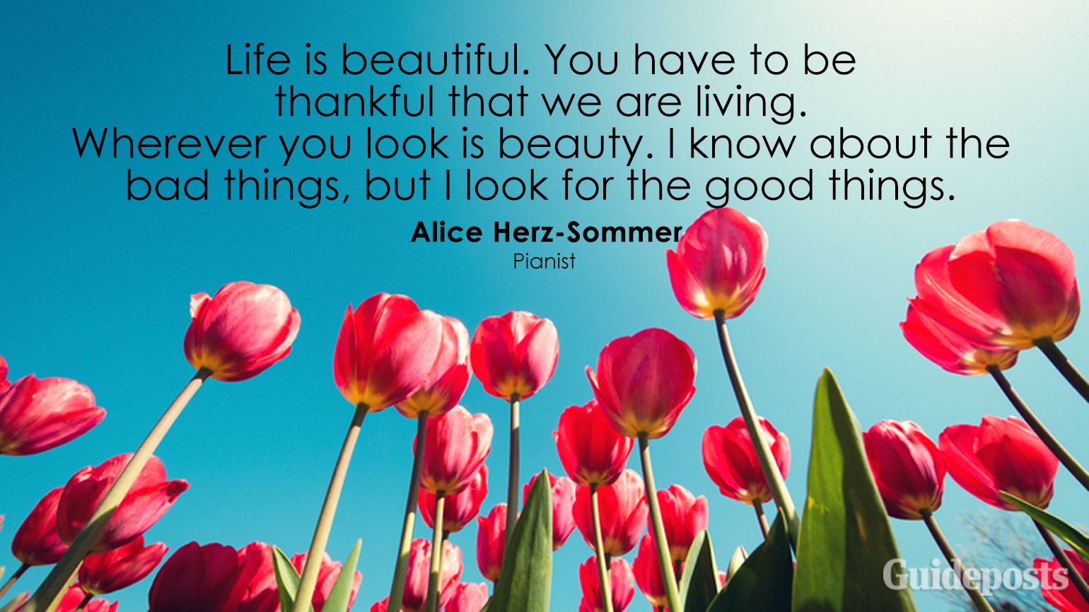 Life is beautiful. You have to be thankful that we are living. Wherever you look is beauty. I know about the bad things, but I look for the good things.