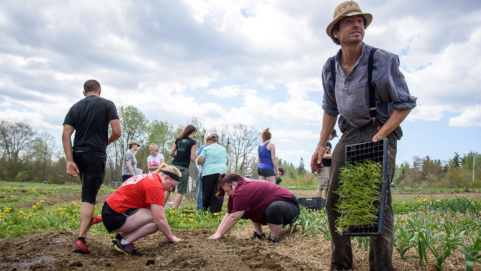 Students eagerly work on their hands and knees in the fields on Michael's farm