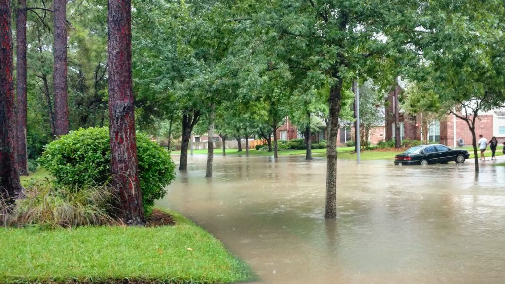 Floodwaters of Harvey bring unexpected protection