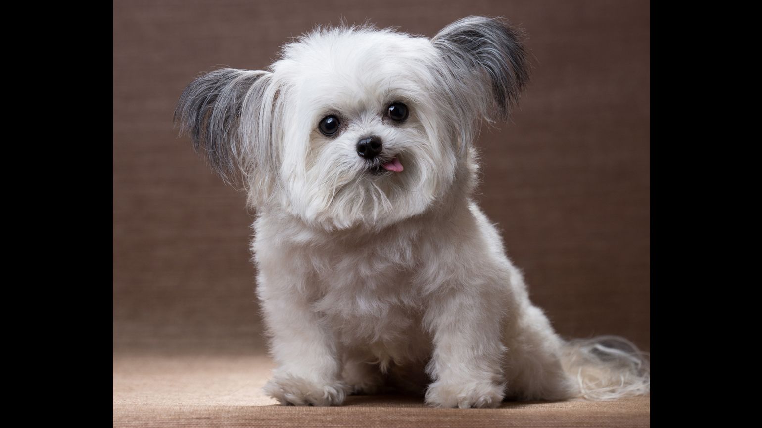 Norbert in a still portrait shot.