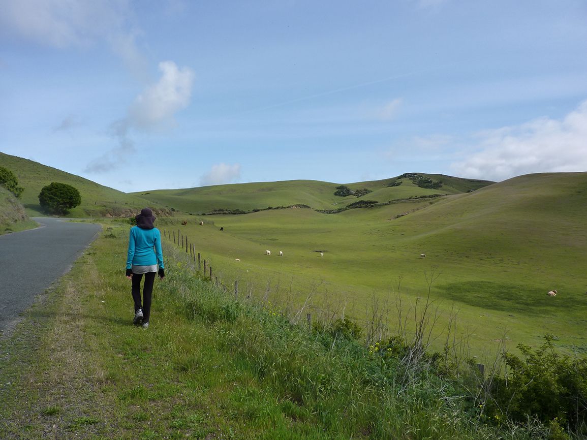 Day 45: Edie walks along San Juan Grade Road as she makes her way from Salinas to Mission San Juan Bautista.