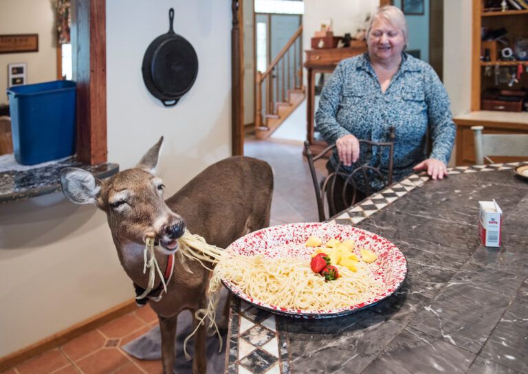 Melanie often makes Dillie her favorite spaghetti dish.