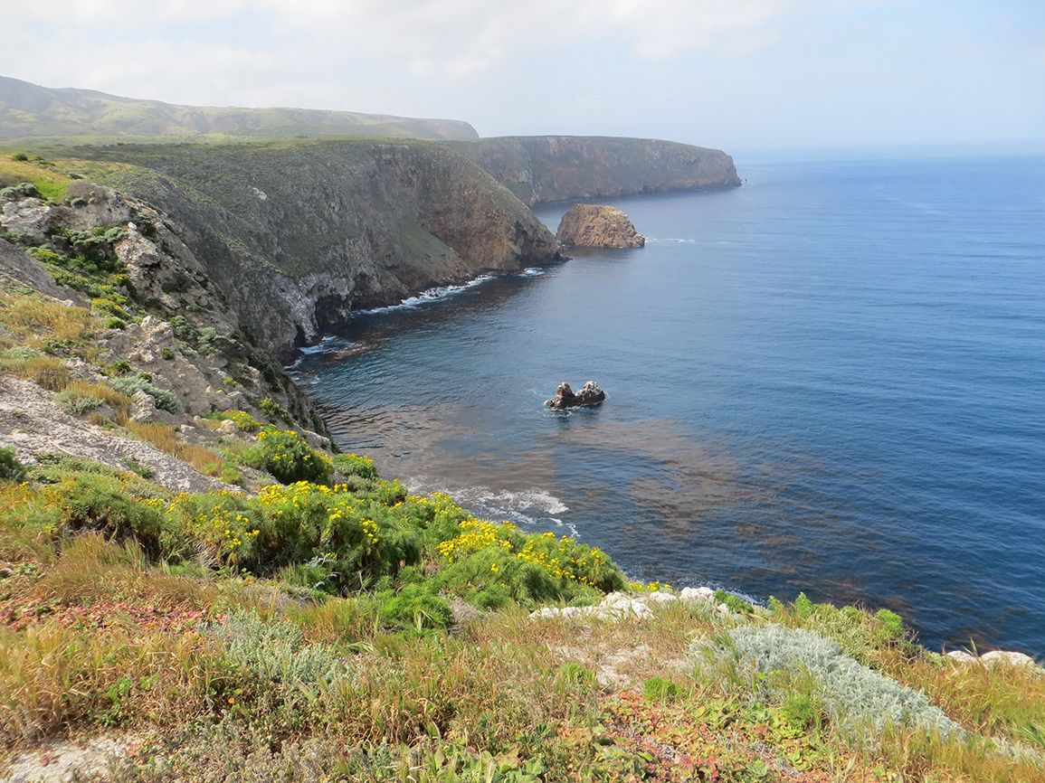 Channel Islands National Park comprises five islands off the southern California coast