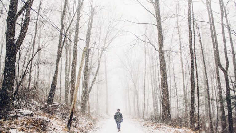 A figure of a man walking on a snowy path in the woods.