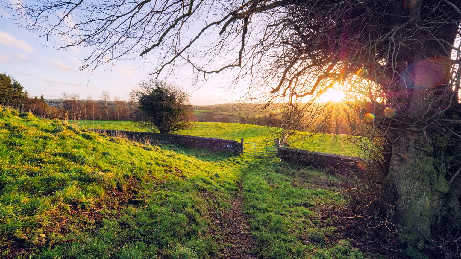 Winter countryside morning, Northern Ireland