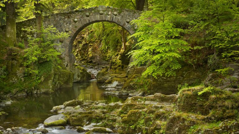 Stone bridge over a river in Northern Ireland