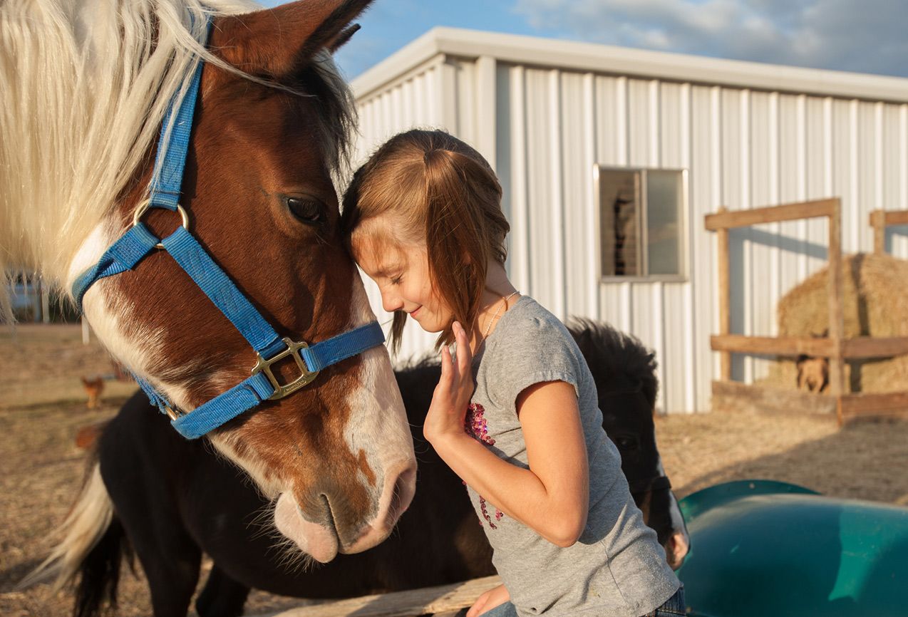 There’s still plenty of work to do on the farm, but when the main pasture is fenced in, the Hances hope to rescue more horses and ponies.