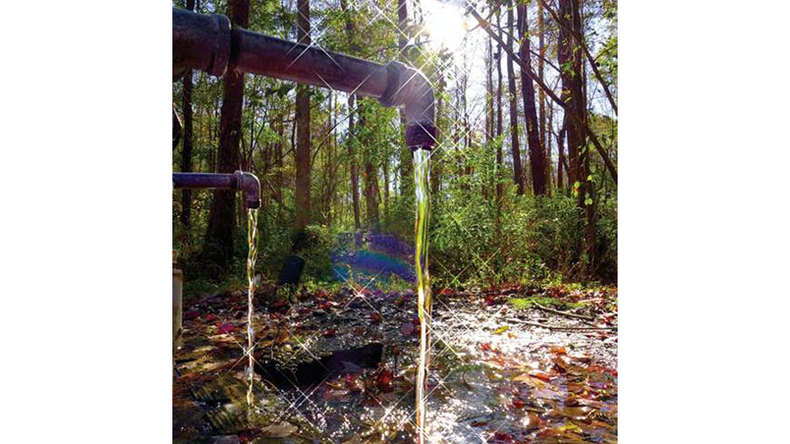 God's Acre Healing Springs in Blackville, South Carolina