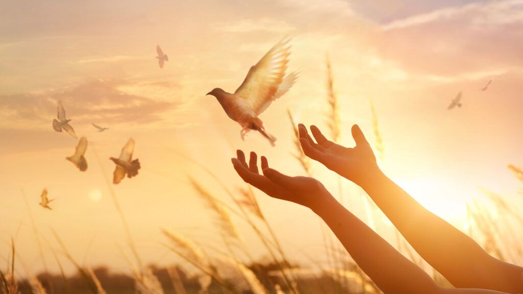 Woman releasing a free bird at sunset to signify a Holy Week devotion