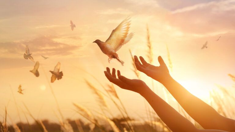 Woman releasing a free bird at sunset to signify a Holy Week devotion